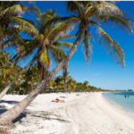 Discovering Cayo Hueso: A Journey Through Key West's History, Culture, and Natural Beauty